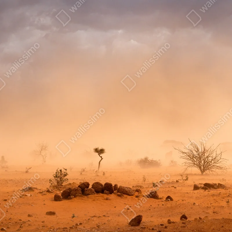 Fototapete sandsturm über Dollo Ado, Äthiopien Fototapete sandsturm über Dollo Ado, Äthiopien