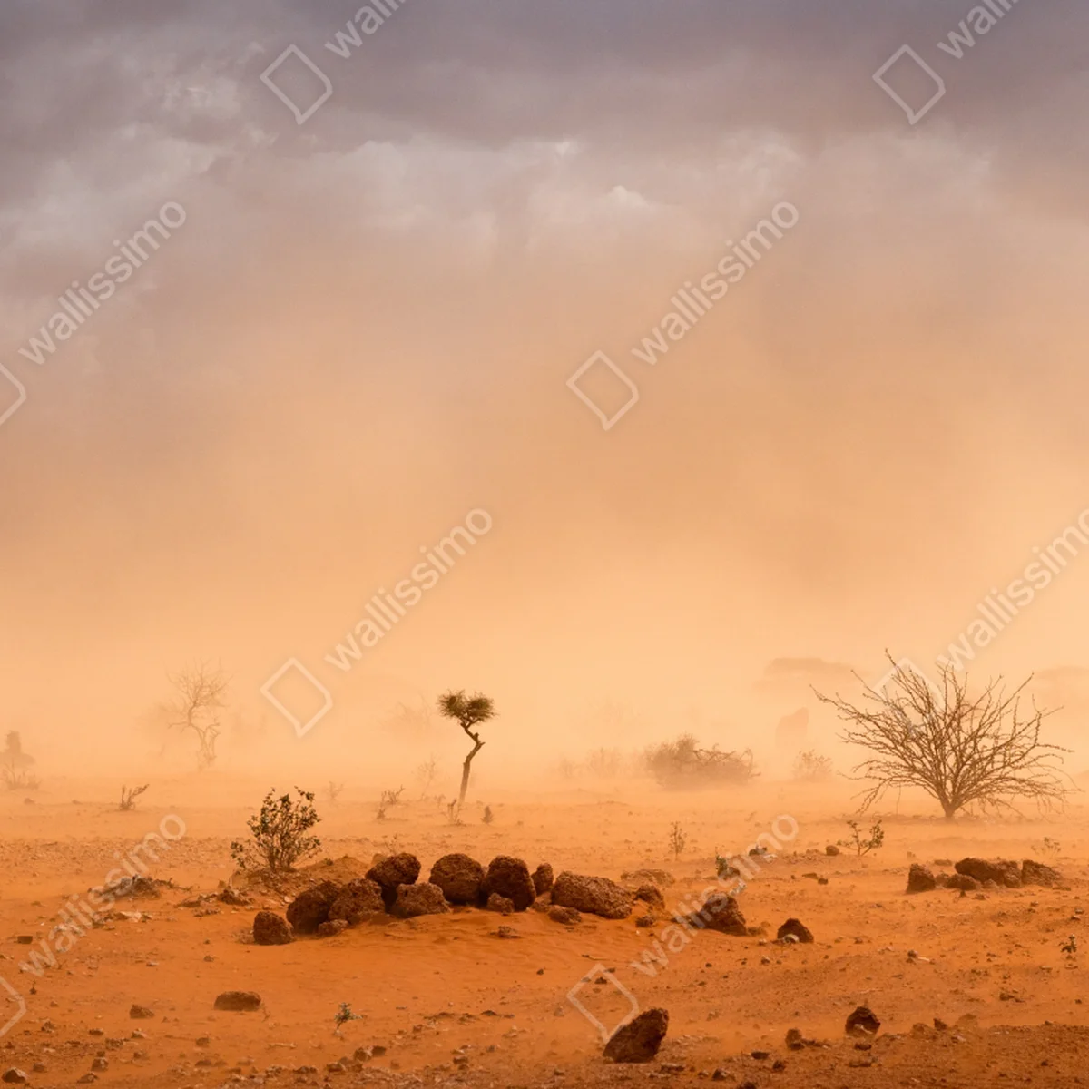 Fototapete sandsturm über Dollo Ado, Äthiopien Fototapete sandsturm über Dollo Ado, Äthiopien