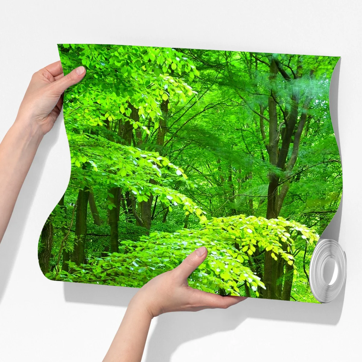 Fototapeta słoneczny zielony las Fototapeta słoneczny zielony las