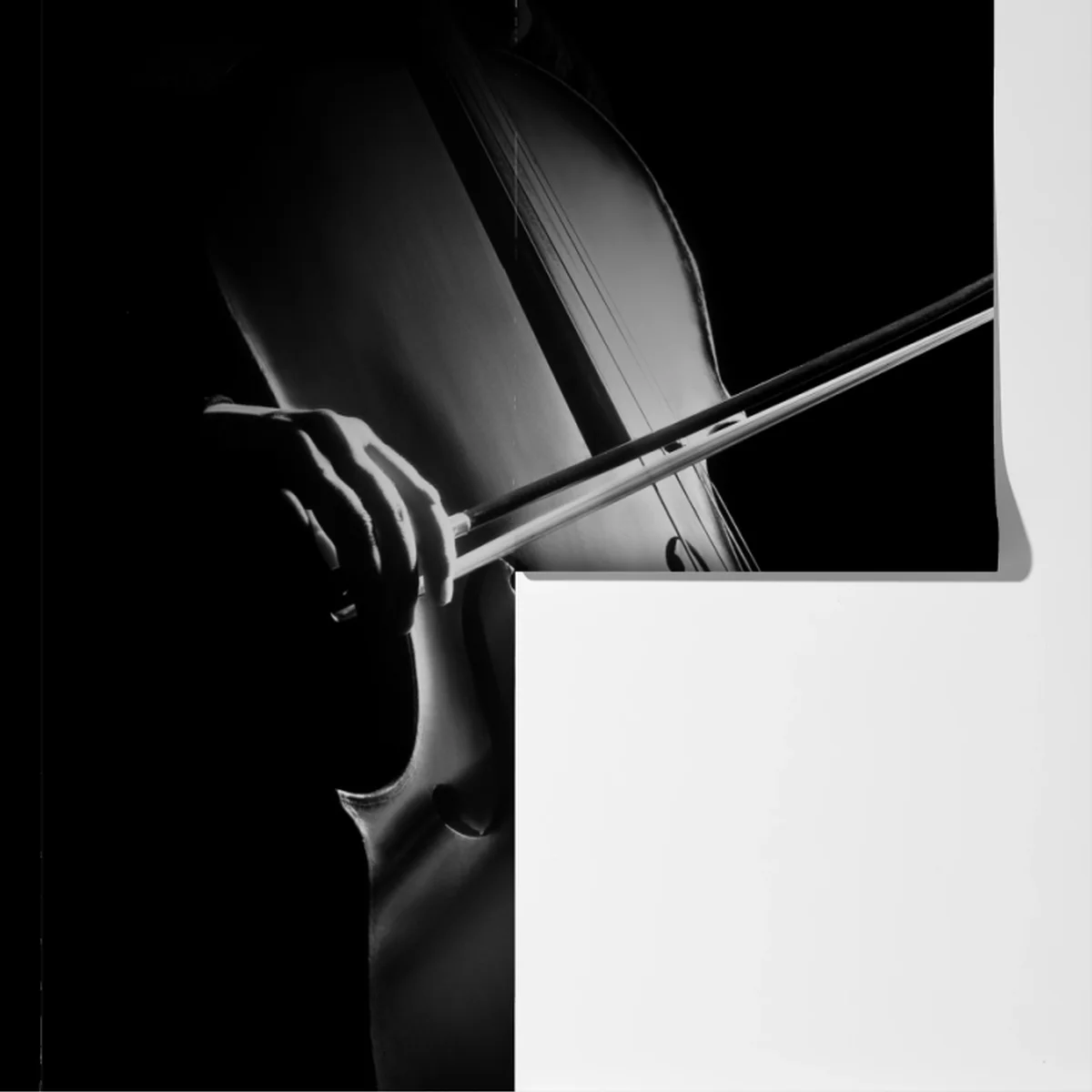 Fototapete elegantes cello in monochrom Fototapete elegantes cello in monochrom