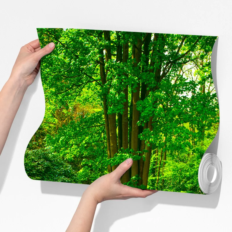 Fototapeta żywy ogród tulipanów w Keukenhof Fototapeta żywy ogród tulipanów w Keukenhof