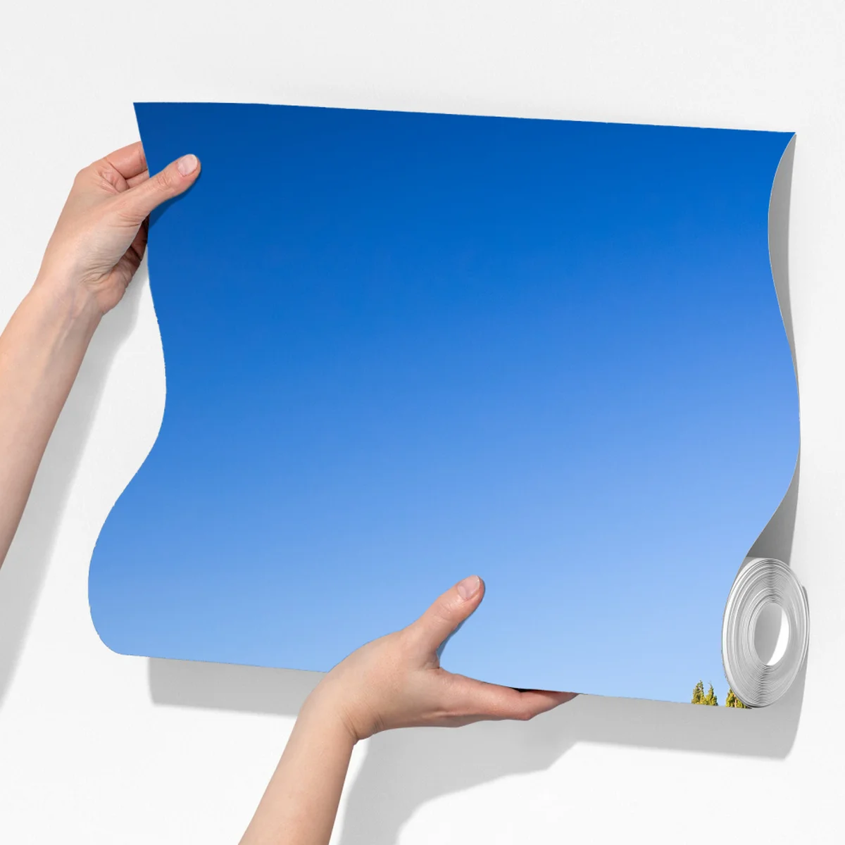 Fototapete sonnige grüne hügel mit zypressen Fototapete sonnige grüne hügel mit zypressen