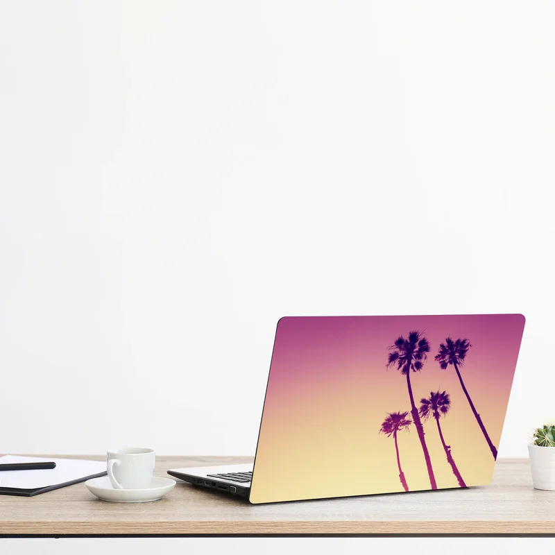 Laptop-Aufkleber kalifornische palmen bei Sunset Cliffs