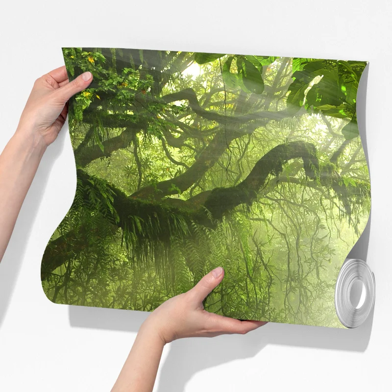 Fototapete sonnenbeschienener moosiger waldpfad Fototapete sonnenbeschienener moosiger waldpfad