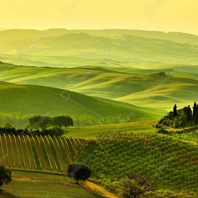 Leinwandbild Toskana sanfte hügel Leinwandbild Toskana sanfte hügel