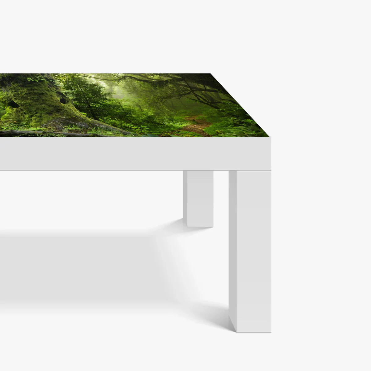 Tischaufkleber und Schreibtischaufkleber moosiger alter waldpfad Tischaufkleber und Schreibtischaufkleber moosiger alter waldpfad