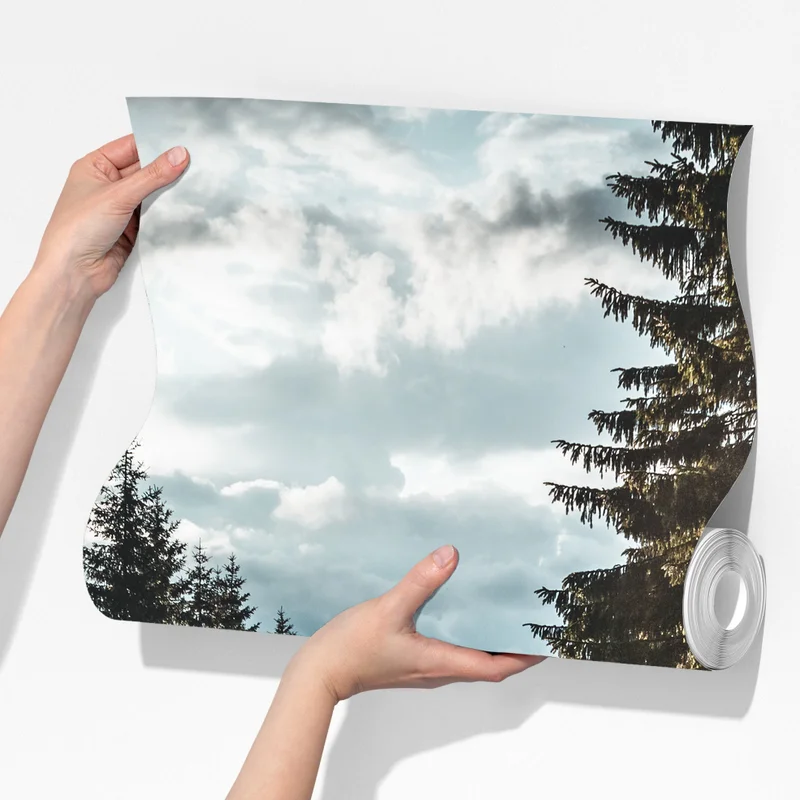 Fototapete waldweg durch neblige kiefern Fototapete waldweg durch neblige kiefern