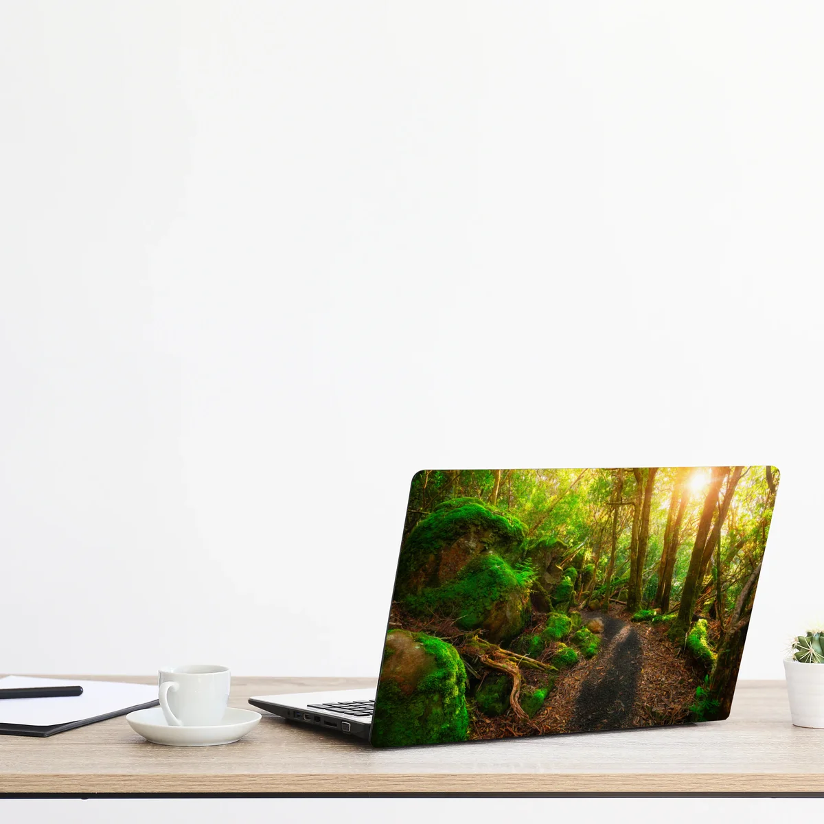 Naklejka na laptopa słoneczna ścieżka w lesie deszczowym Półwyspu Tasman, Tasmania Naklejka na laptopa słoneczna ścieżka w lesie deszczowym Półwyspu Tasman, Tasmania