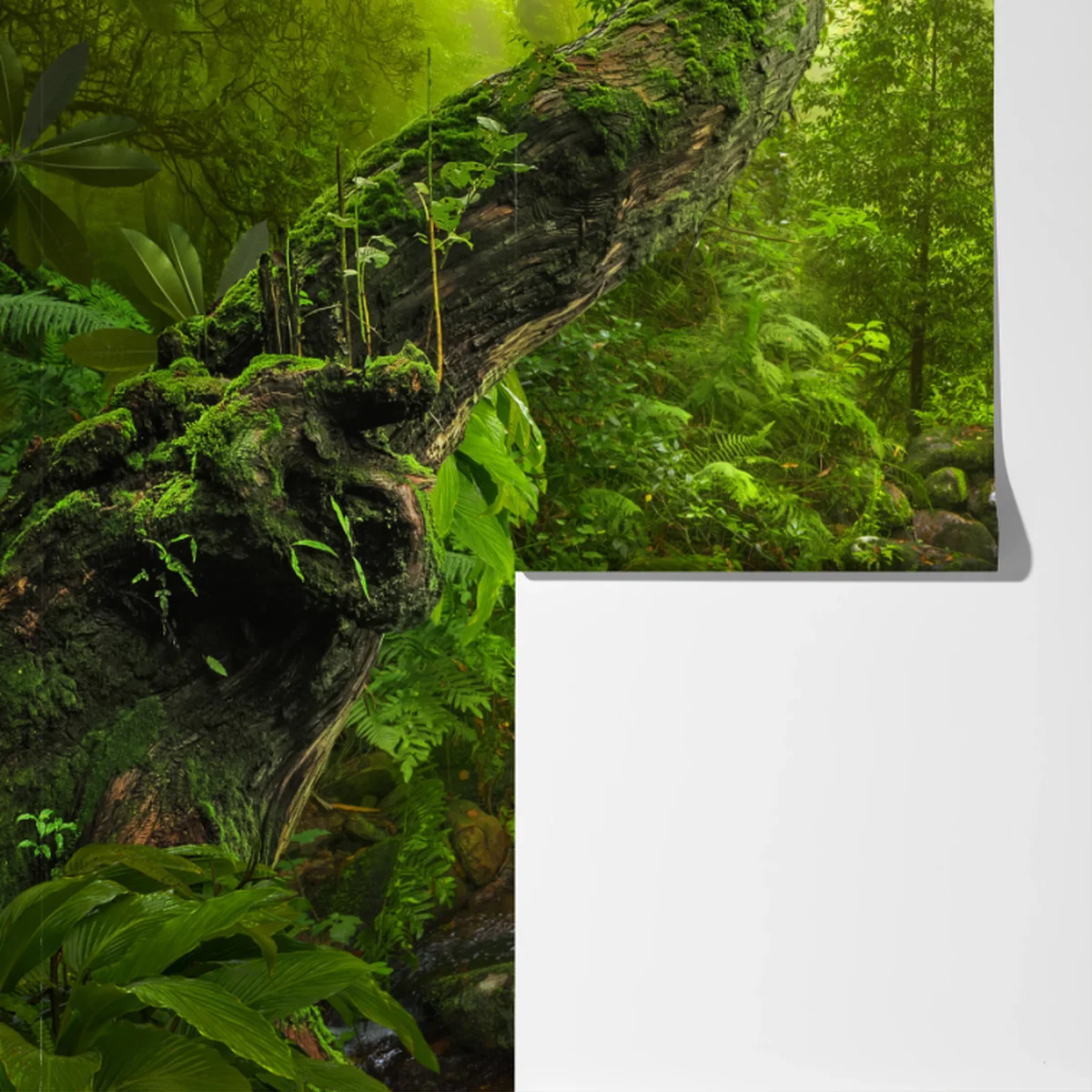 Fototapete üppiger grüner wald mit bach Fototapete üppiger grüner wald mit bach