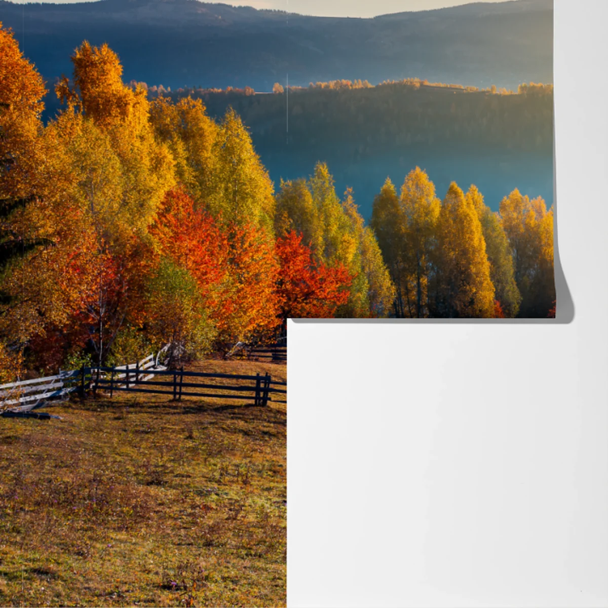 Fototapeta mglisty jesienny wschód słońca na wsi Fototapeta mglisty jesienny wschód słońca na wsi