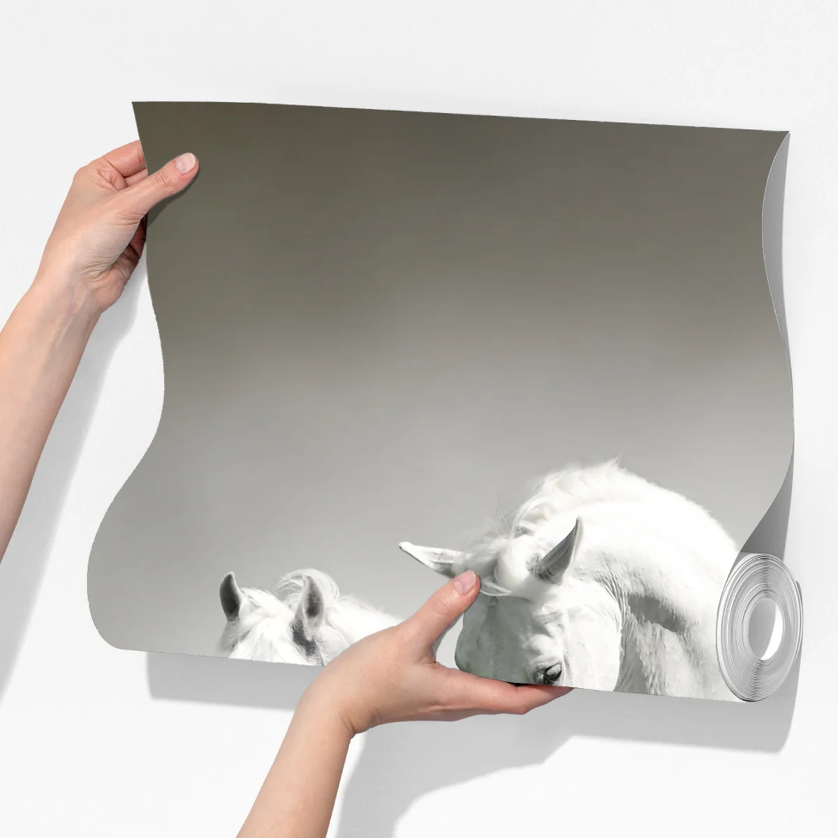 Fototapete drei weiße pferde im galopp durch wasser Fototapete drei weiße pferde im galopp durch wasser