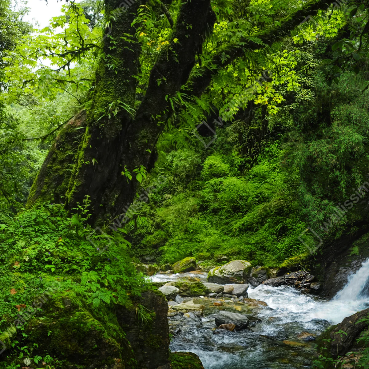 Laptop-Aufkleber üppiger grüner wasserfall im wald Laptop-Aufkleber üppiger grüner wasserfall im wald