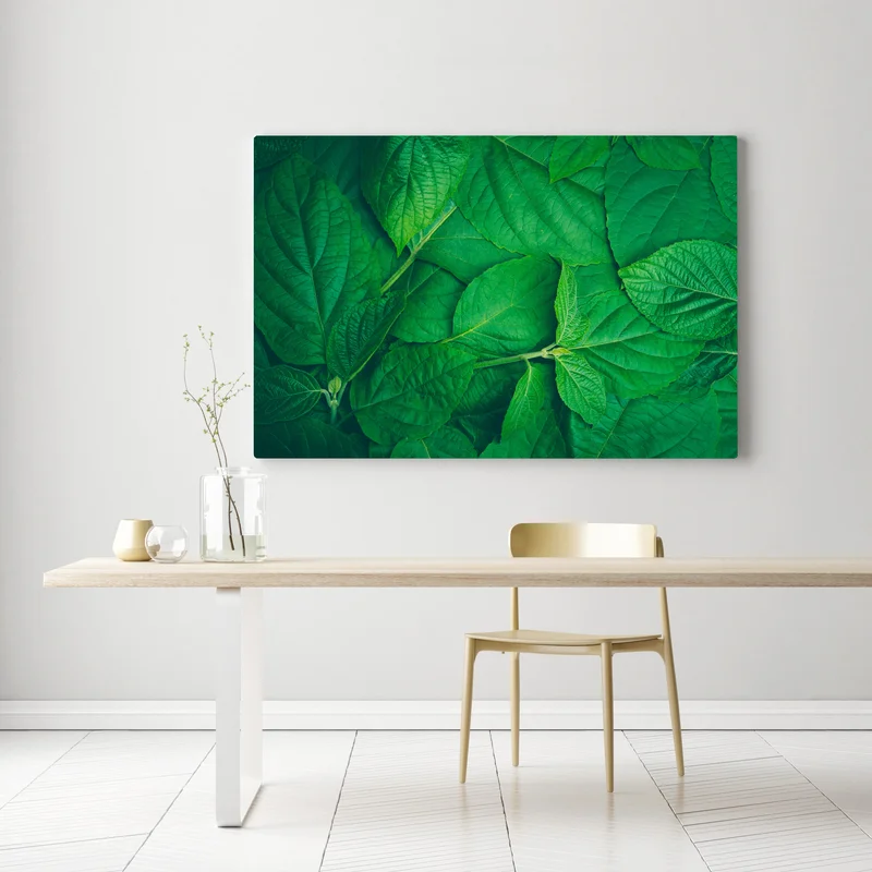 Leinwandbild saftige grüne blätter Leinwandbild saftige grüne blätter