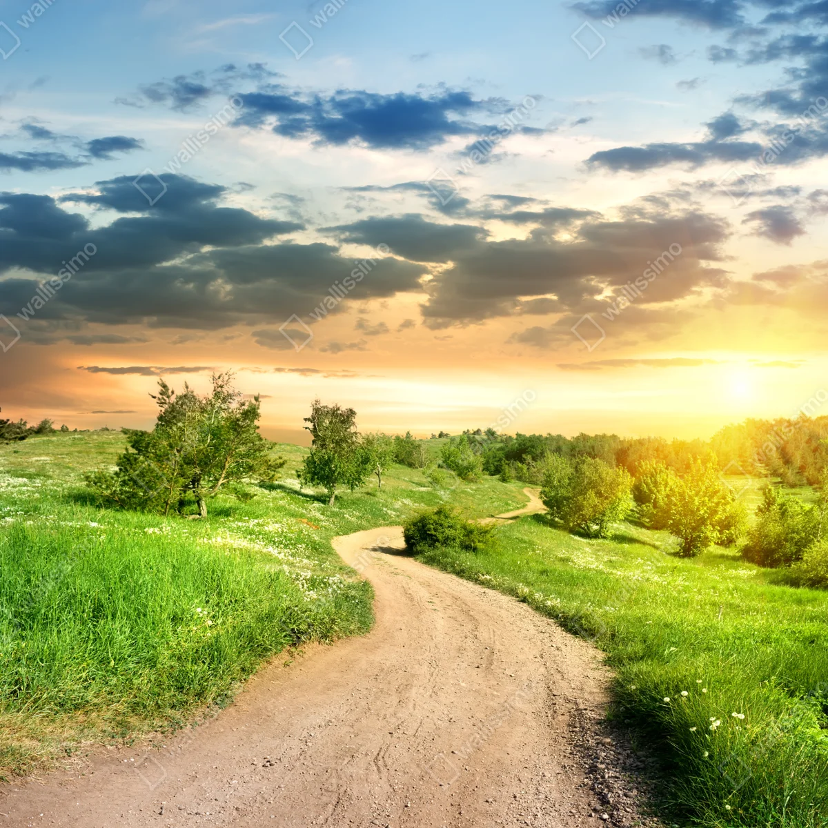Fensteraufkleber sonnenuntergang über einem feldweg durch grüne wiese Fensteraufkleber sonnenuntergang über einem feldweg durch grüne wiese