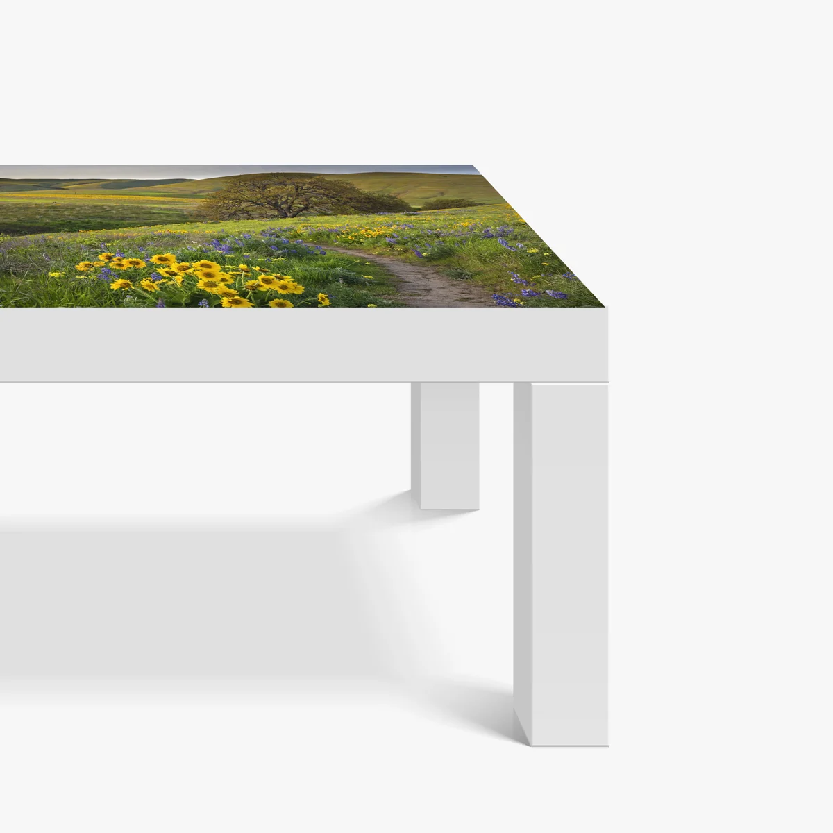 Tischaufkleber und Schreibtischaufkleber pfad durch blumenwiese mit eichenbaum Tischaufkleber und Schreibtischaufkleber pfad durch blumenwiese mit eichenbaum