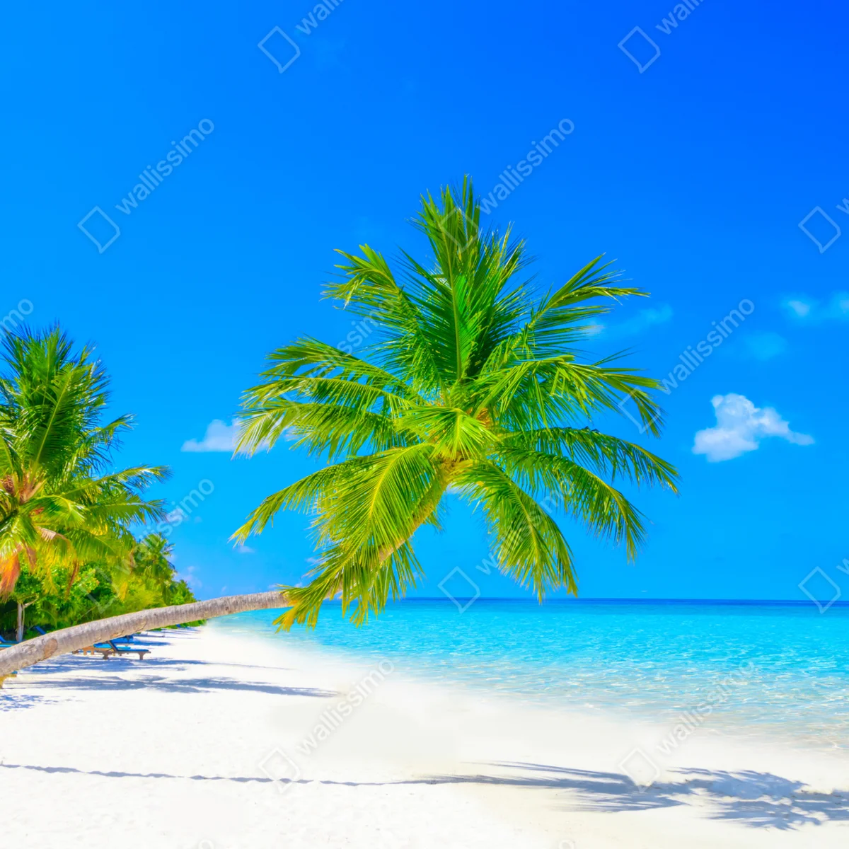 Fensteraufkleber traumhafte strandlandschaft auf den Malediven Fensteraufkleber traumhafte strandlandschaft auf den Malediven