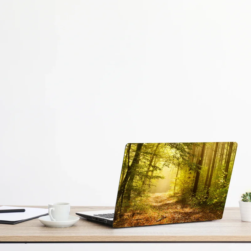 Naklejka na laptopa słoneczna leśna ścieżka jesienią