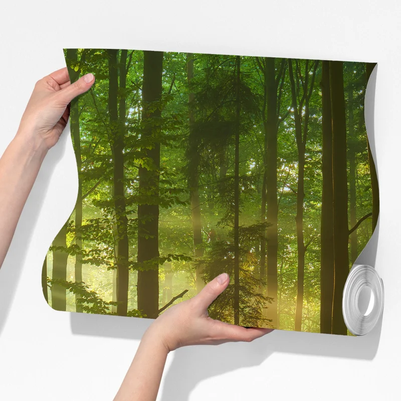 Fototapete morgendliches licht im grünen wald Fototapete morgendliches licht im grünen wald