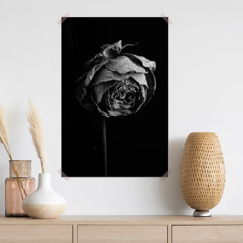 Poster monochrome getrocknete rose Poster monochrome getrocknete rose