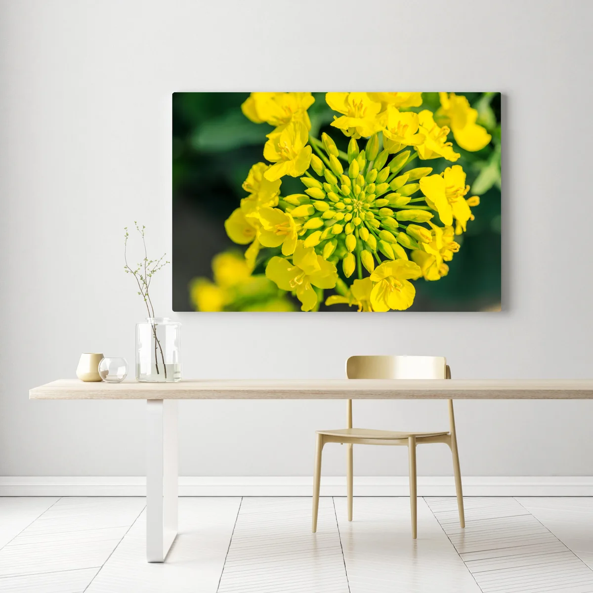 Leinwandbild lebhafte gelbe rapsblüte im nahen makro Leinwandbild lebhafte gelbe rapsblüte im nahen makro