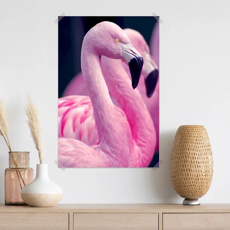 Poster anmutiges rosa flamingo-porträt Poster anmutiges rosa flamingo-porträt
