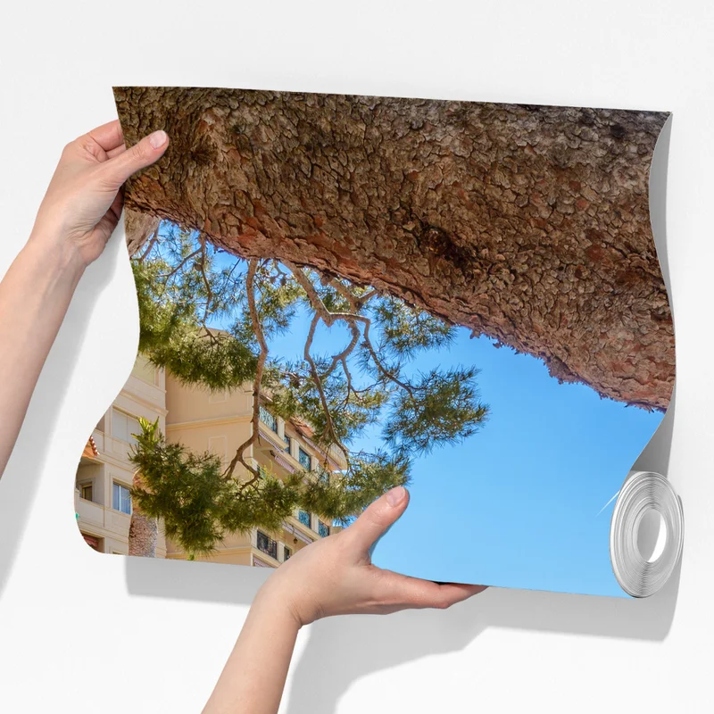 Fototapeta Monako promenada z widokiem na morze Fototapeta Monako promenada z widokiem na morze