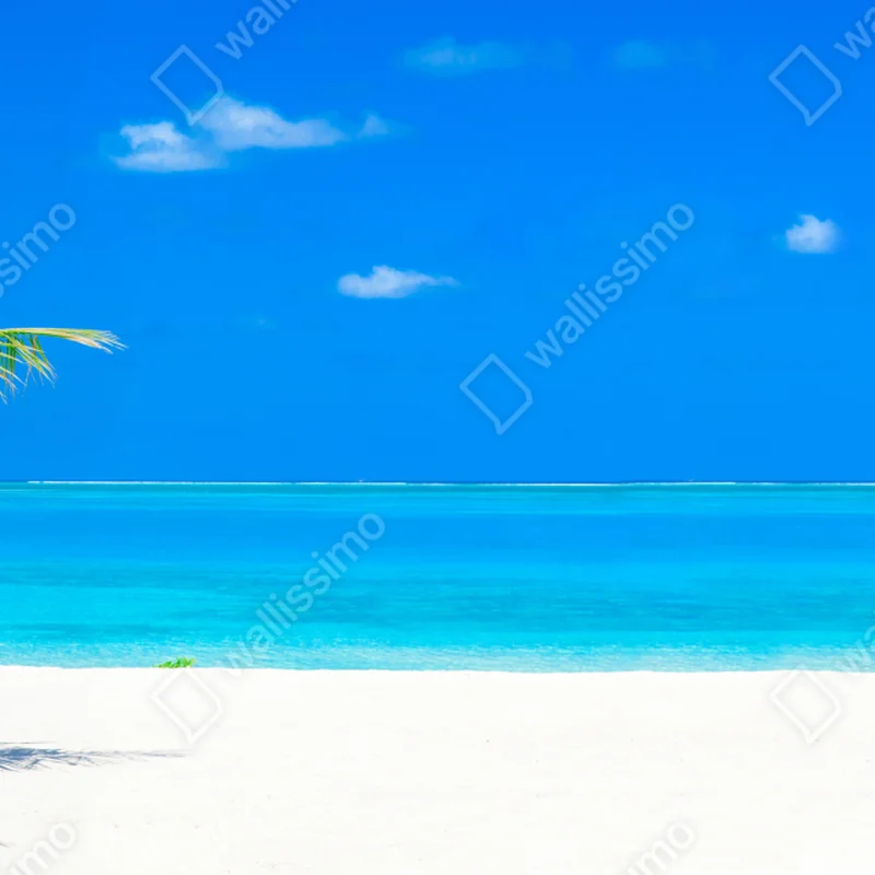 Fototapeta Malediwy tropikalna plaża raj Fototapeta Malediwy tropikalna plaża raj