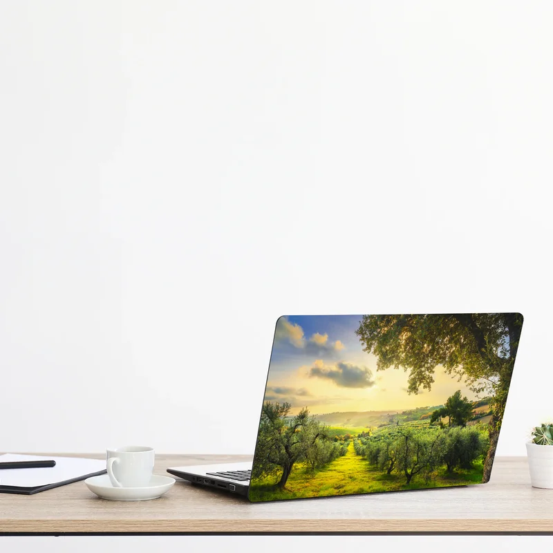 Laptop-Aufkleber olivenhain bei sonnenuntergang in Maremma, Toskana