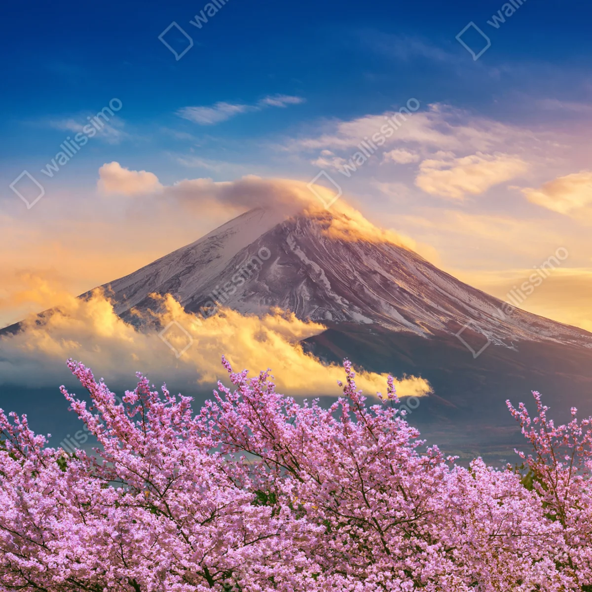 Repositionierbarer Aufkleber Berg Fuji mit blühenden kirschblüten bei sonnenaufgang Repositionierbarer Aufkleber Berg Fuji mit blühenden kirschblüten bei sonnenaufgang
