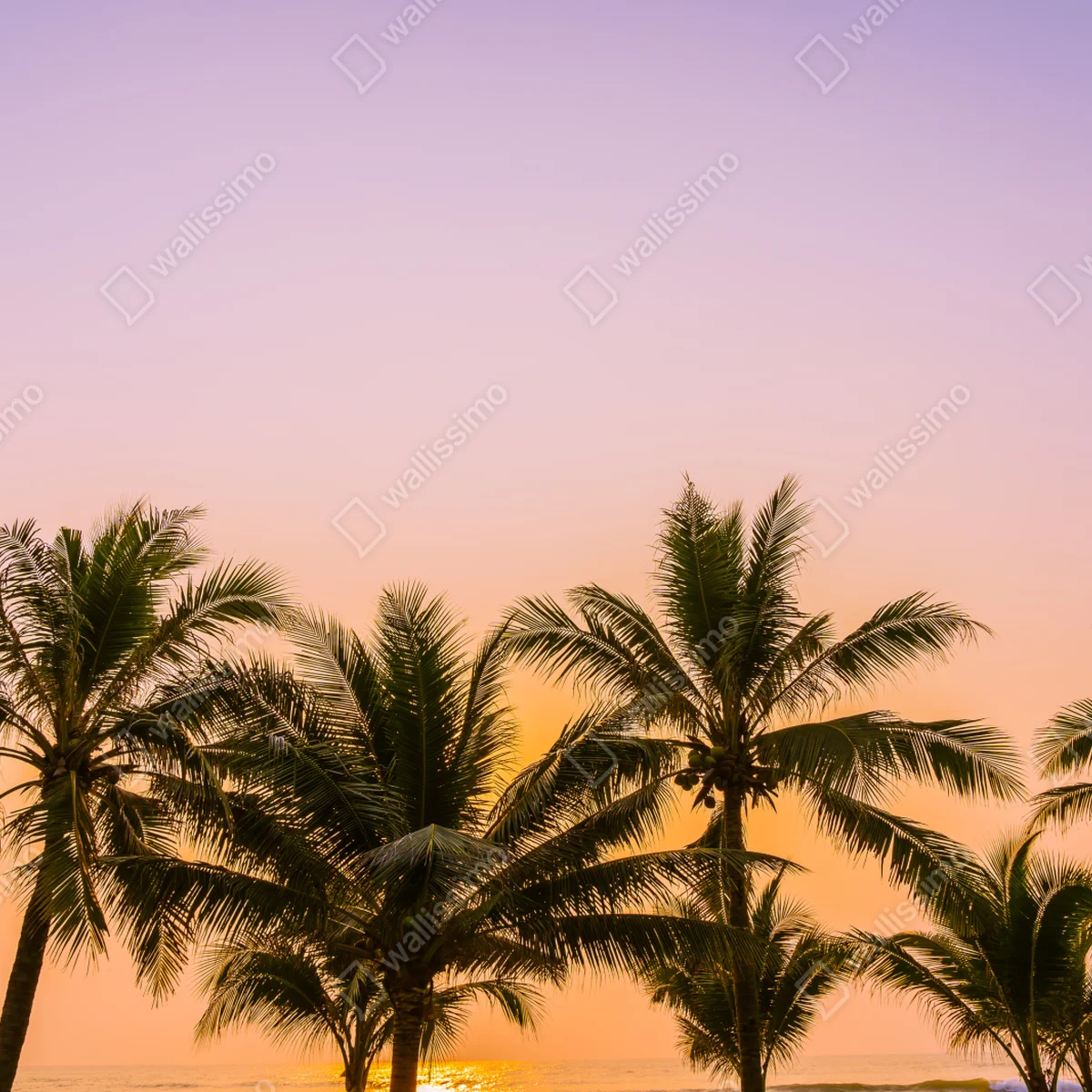 Fototapete tropischer palmsonnenuntergang am strand Fototapete tropischer palmsonnenuntergang am strand