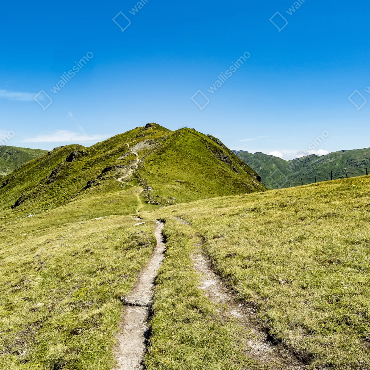Fototapete gewundener wanderweg im Zillertal Fototapete gewundener wanderweg im Zillertal