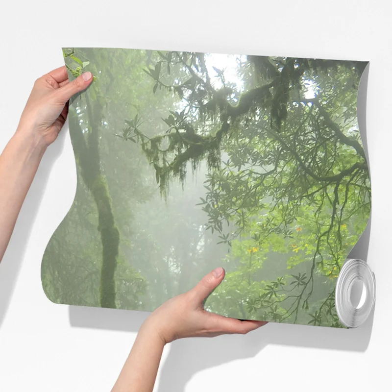 Fototapete nebliger tropischer dschungelpfad Fototapete nebliger tropischer dschungelpfad