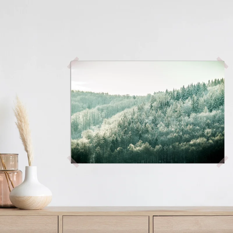 Poster nebliger reifbedeckter wald Poster nebliger reifbedeckter wald