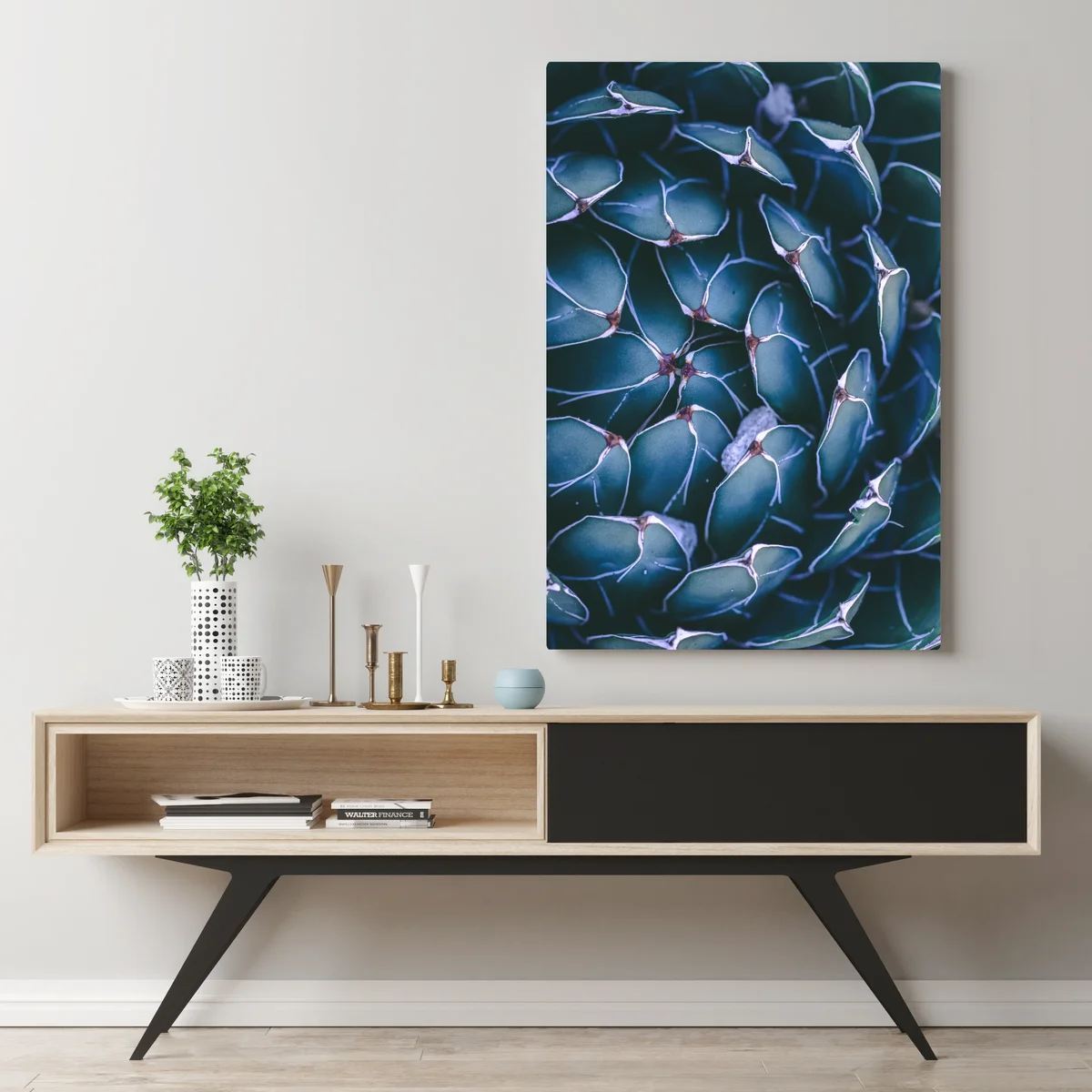 Leinwandbild geometrische makroaufnahme türkiser sukkulente Leinwandbild geometrische makroaufnahme türkiser sukkulente