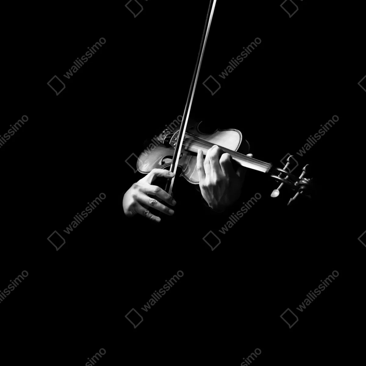 Kühlschrankaufkleber geige in monochrom Kühlschrankaufkleber geige in monochrom