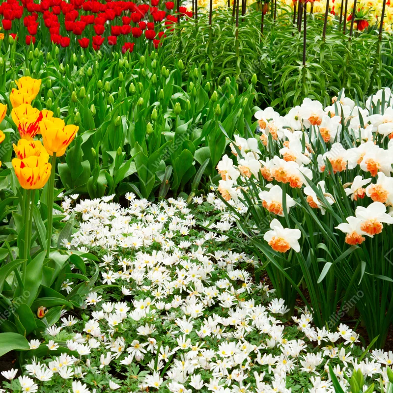 Schrankaufkleber lebendiger frühlingsblumengarten Schrankaufkleber lebendiger frühlingsblumengarten