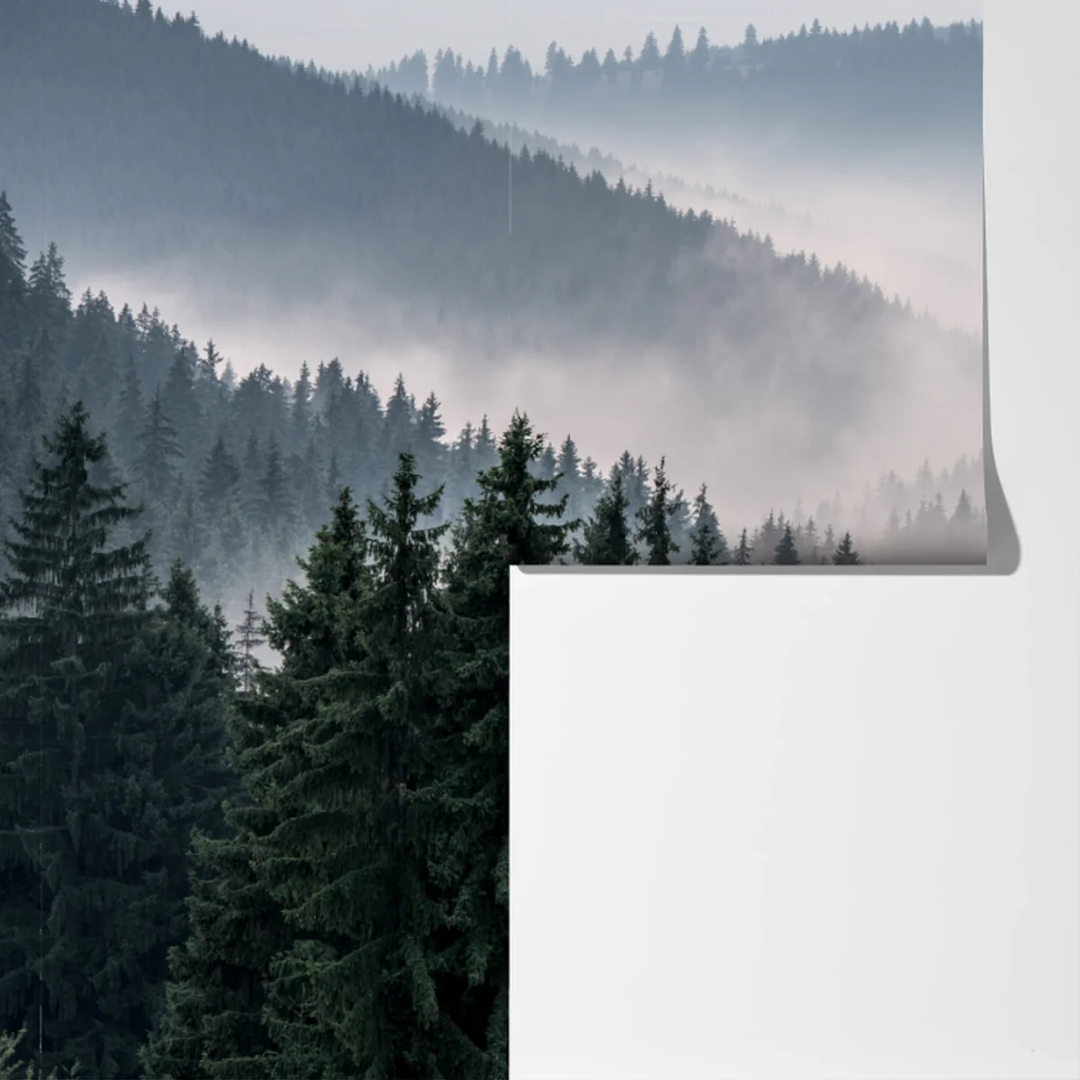 Fototapete nebliger bergwald Fototapete nebliger bergwald