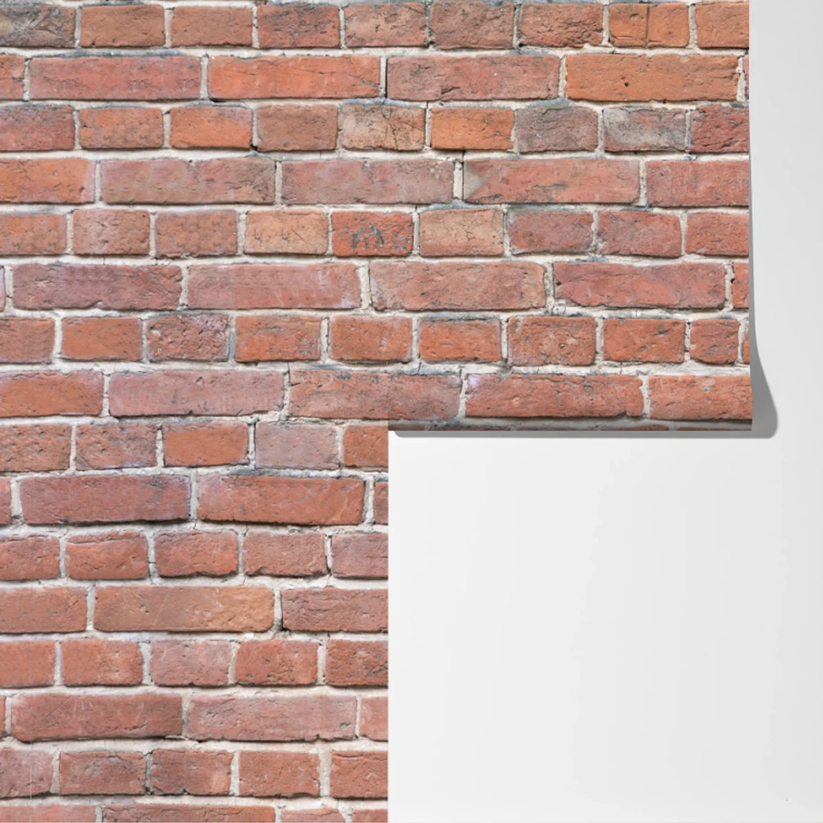 Fototapete textur rote ziegelwand Fototapete textur rote ziegelwand