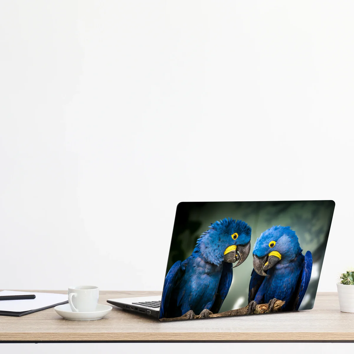 Laptop-Aufkleber paar blauer aras - nahaufnahme Laptop-Aufkleber paar blauer aras - nahaufnahme