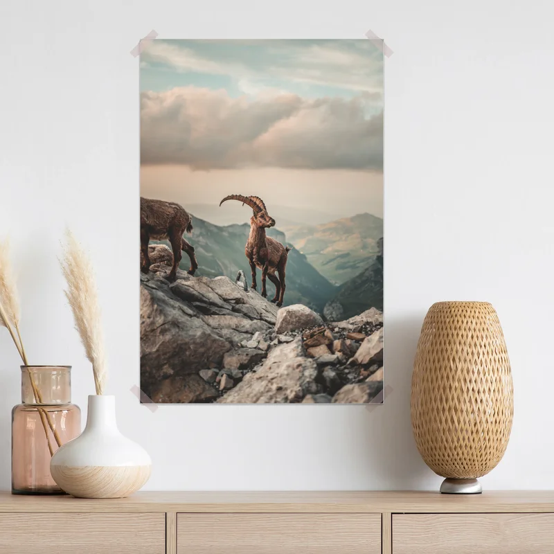 Poster alpensteinbock auf felsigem kamm Poster alpensteinbock auf felsigem kamm