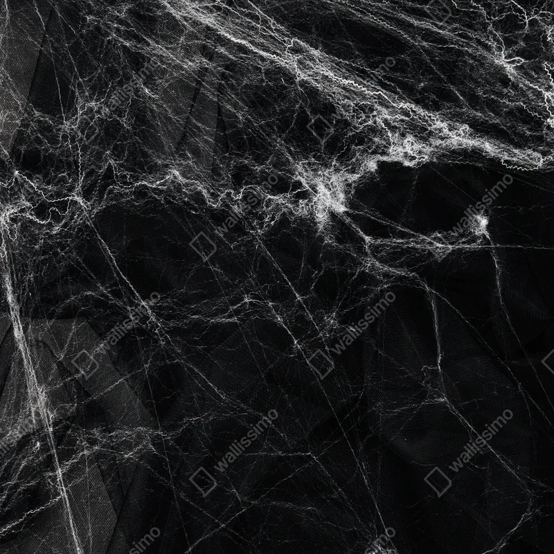 Poster gespenstisches spinnennetz auf schwarzem hintergrund Poster gespenstisches spinnennetz auf schwarzem hintergrund