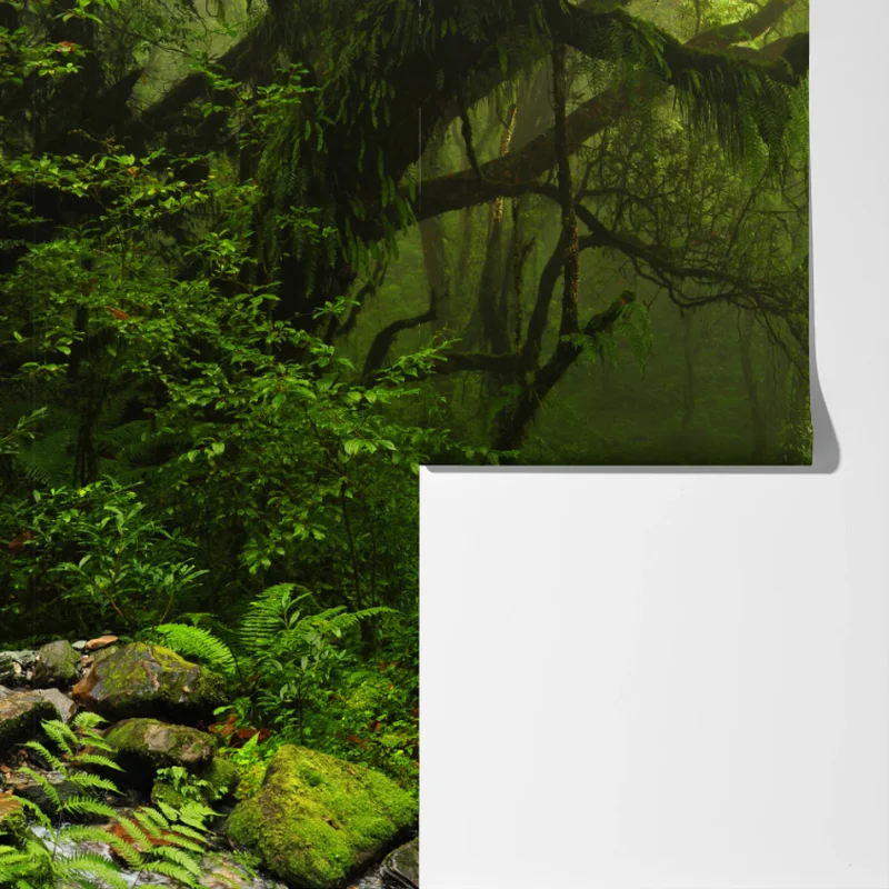 Fototapete verwunschener moosiger waldpfad Fototapete verwunschener moosiger waldpfad