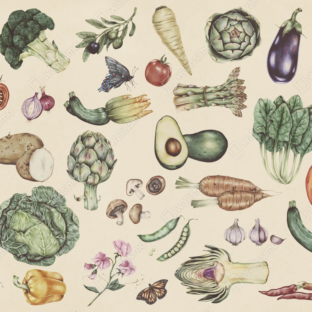 Repositionierbarer Aufkleber handgezeichnetes botanisches gemüsemotiv Repositionierbarer Aufkleber handgezeichnetes botanisches gemüsemotiv