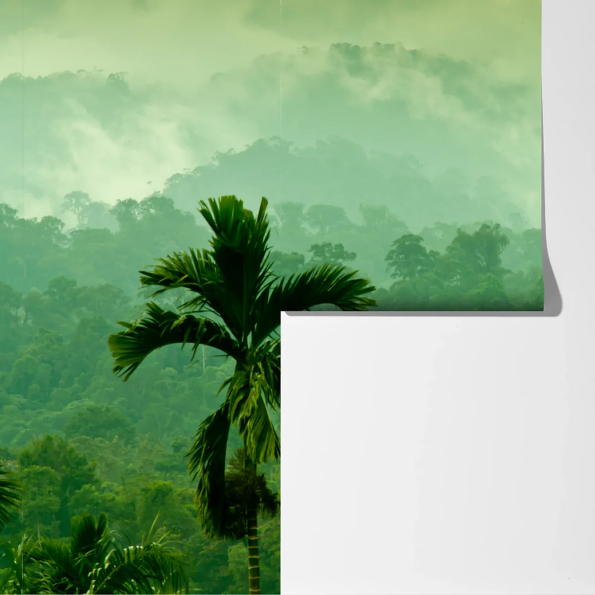 Fototapete neblige tropische dschungellandschaft Fototapete neblige tropische dschungellandschaft