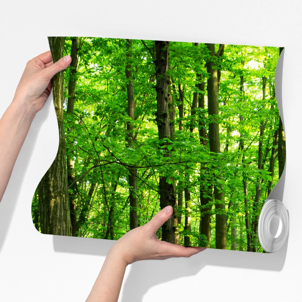 Fototapeta słoneczny zielony las wiosną Fototapeta słoneczny zielony las wiosną