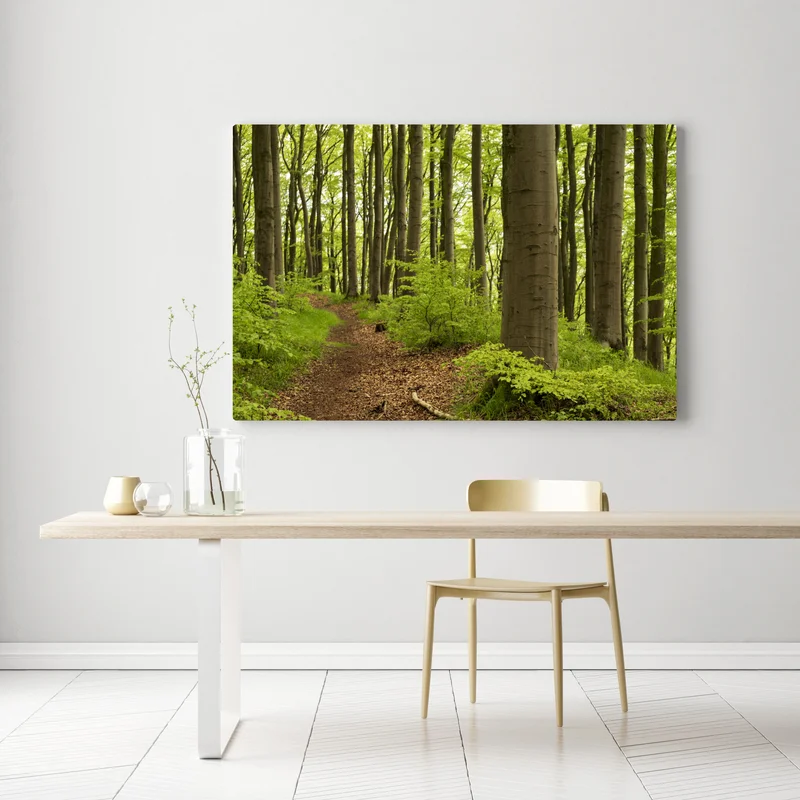Leinwandbild ruhiger grüner waldweg Leinwandbild ruhiger grüner waldweg
