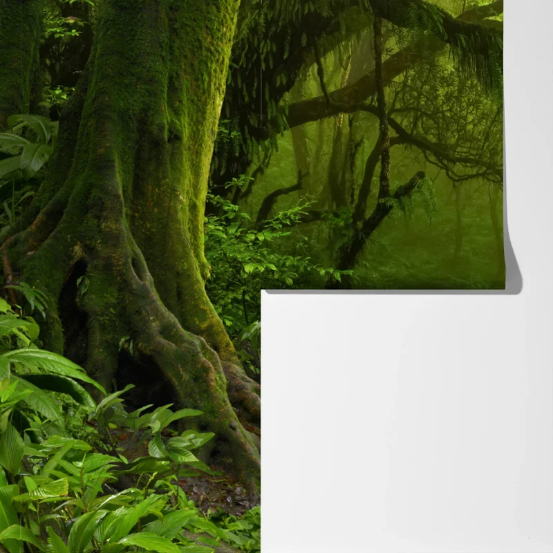 Fototapeta zaczarowany zielony leśny strumień Fototapeta zaczarowany zielony leśny strumień