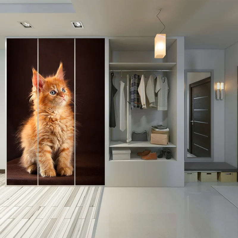 Schrankaufkleber niedliches rotes kätzchenportrait Schrankaufkleber niedliches rotes kätzchenportrait