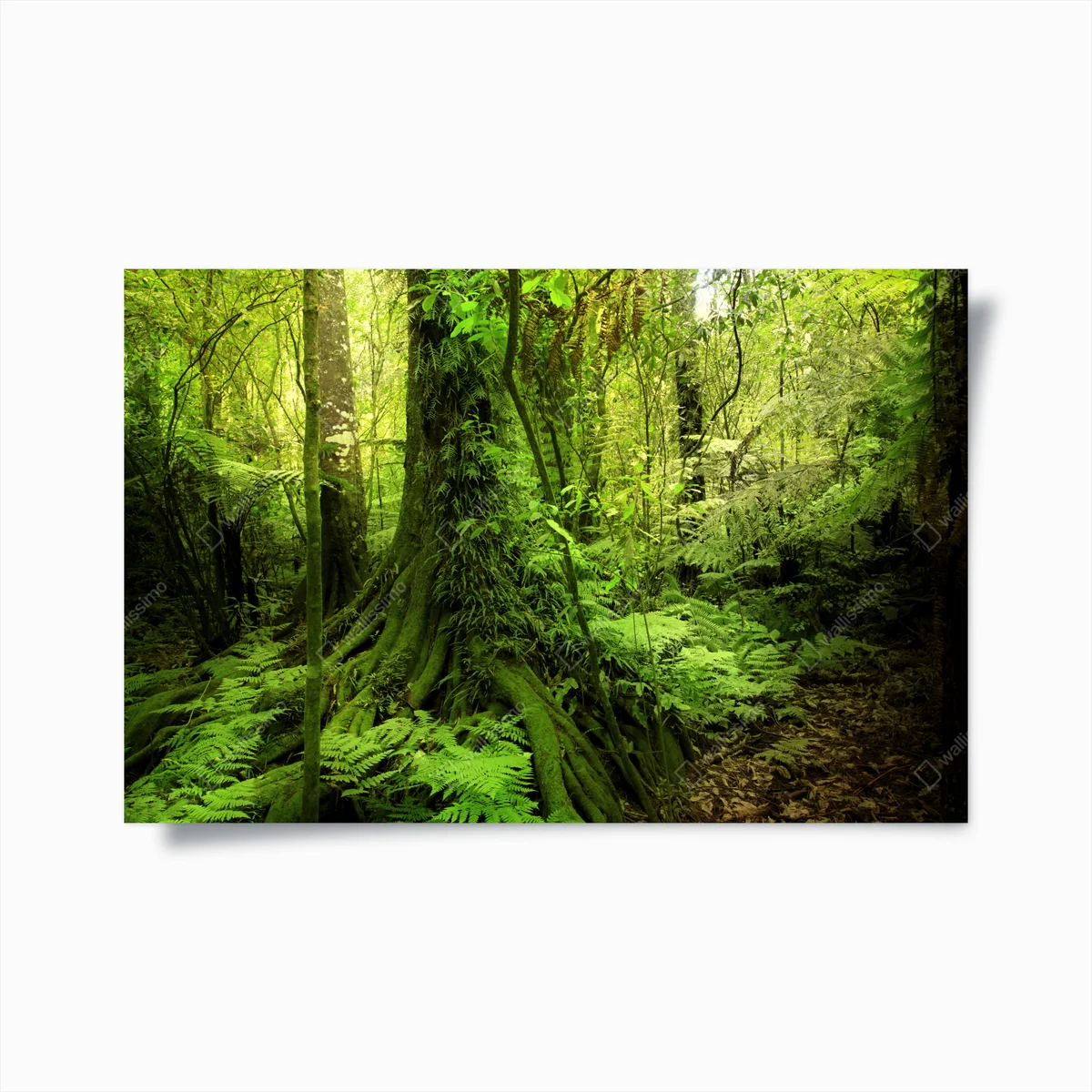 Poster üppiger tropischer dschungel • Poster bei Wallnifity® Poster üppiger tropischer dschungel • Poster bei Wallnifity®