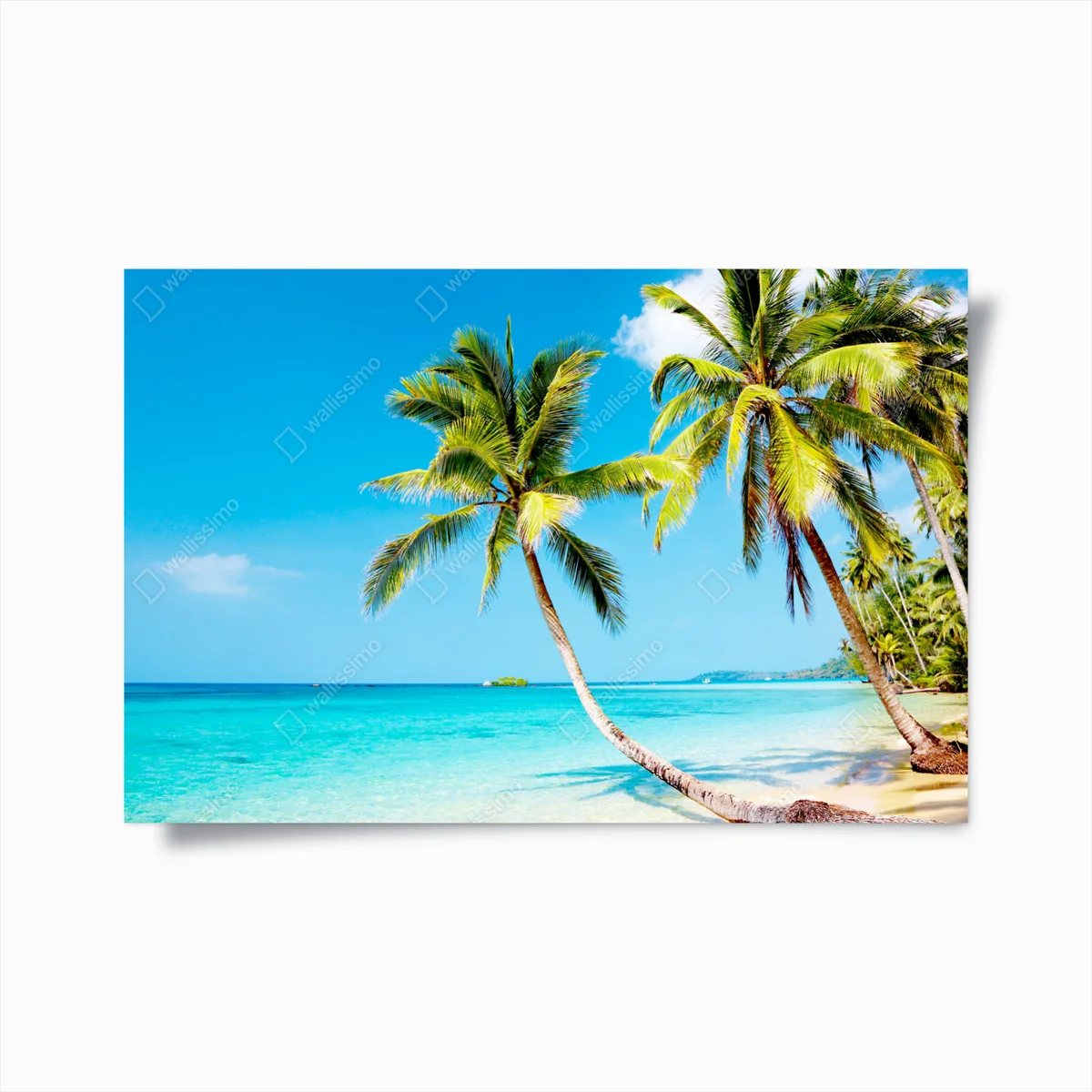 Poster tropischer türkisfarbener strand mit palmen • Poster bei Wallnifity® Poster tropischer türkisfarbener strand mit palmen • Poster bei Wallnifity®